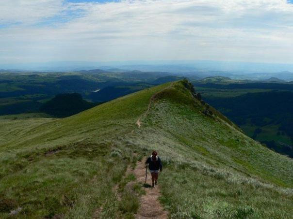 Nid Sous Le Volcan Saint-Sandoux Exteriör bild